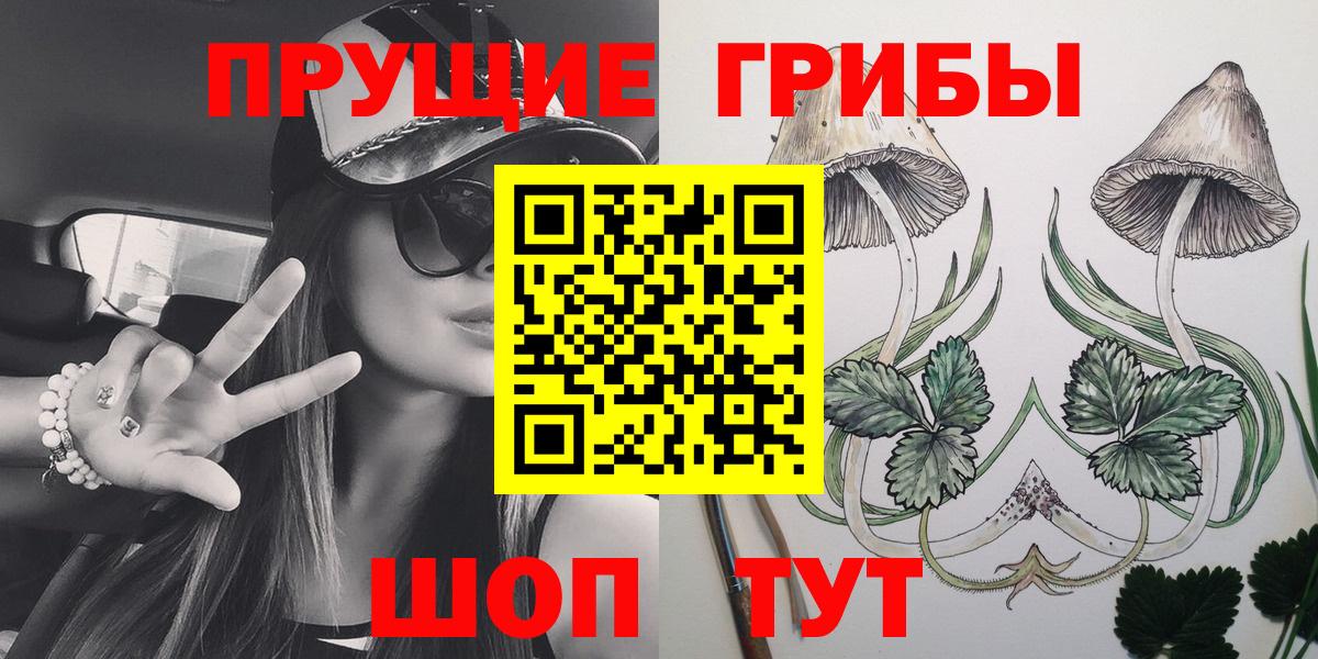 Людиново  Псилоцибиновые грибы Psilocybine cubensis  Вход с VPN 